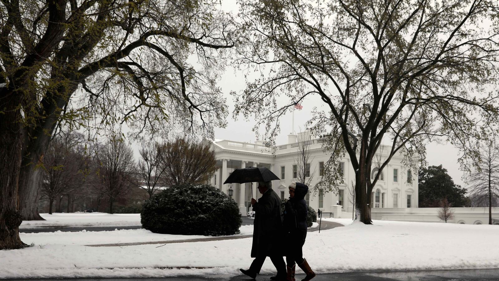 cheats/2017/03/15/staffers-scared-in-hostile-white-house/170315-white-house-staffers-afraid_t704d7