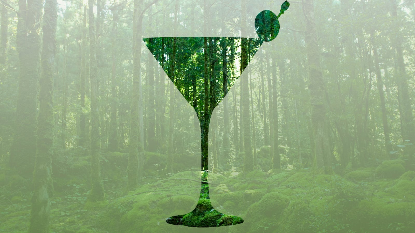 180829-rothbaum-drinking-the-forest-tease_hrdtgy