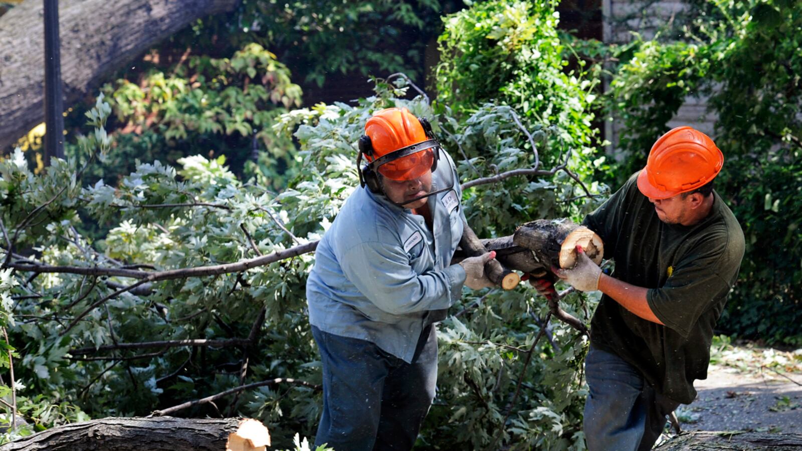 cheats/2011/08/29/power-outages-could-last-weeks/hurricane-irene-power-cheat_wjzz2a