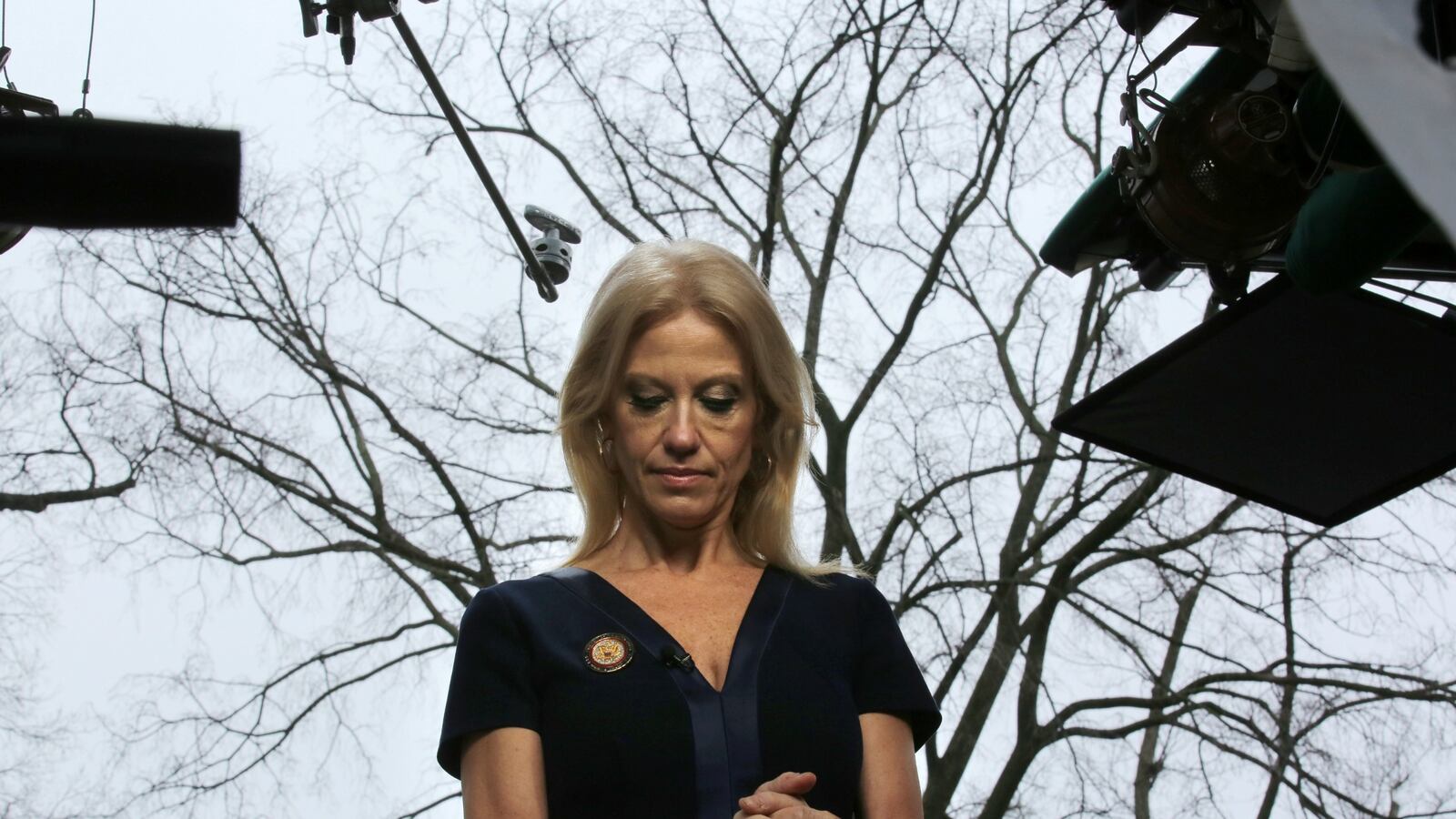 cheats/2017/02/06/cnn-has-serious-questions-about-conway-s-credibility/170206-kellyanne-conway-cnn-credibility-cheat_co0npt