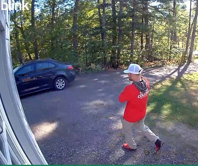 susan collins canvasser