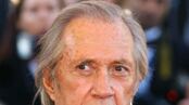 articles/2009/06/14/the-sexual-appeal-of-choking/levy-asphyxiation-david-carradine_31850_rcs8bz