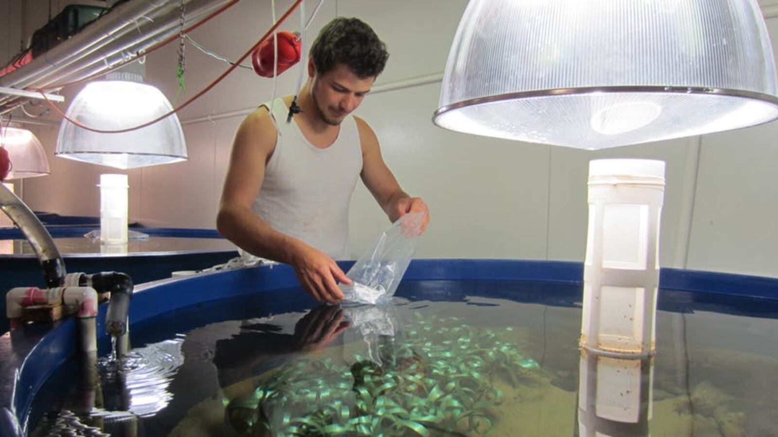 file-20170428-15117-bwwrjh_ow7par