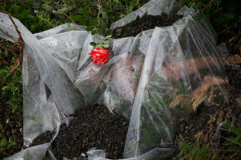 galleries/2014/12/21/the-year-in-photos-2014/141218-photo-year12_zbd3sg