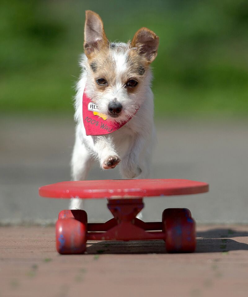 galleries/2015/05/02/week-in-photos-protests-presidents-and-puppies/150501-week-photo12_rfs56n