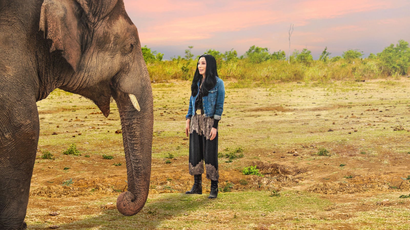 210421-Fallon-TDB-Obsessed-tease_gbjlsf