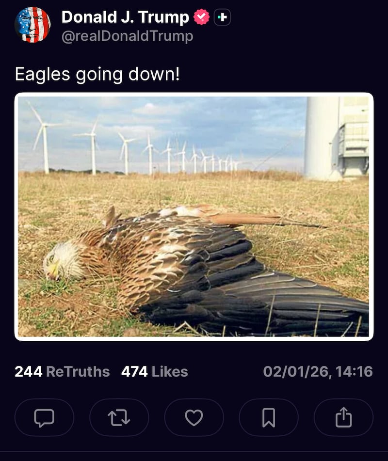 Donald Trump returned to a favorite topic after he gave an interview about his poor health—wind turbines killing eagles.