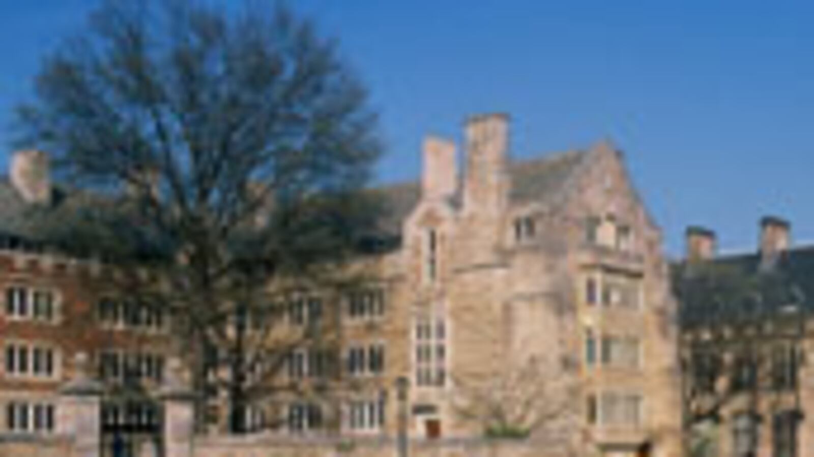 articles/2009/03/28/the-man-who-gutted-the-ivy-league/epstein---yale_19884_anmpba