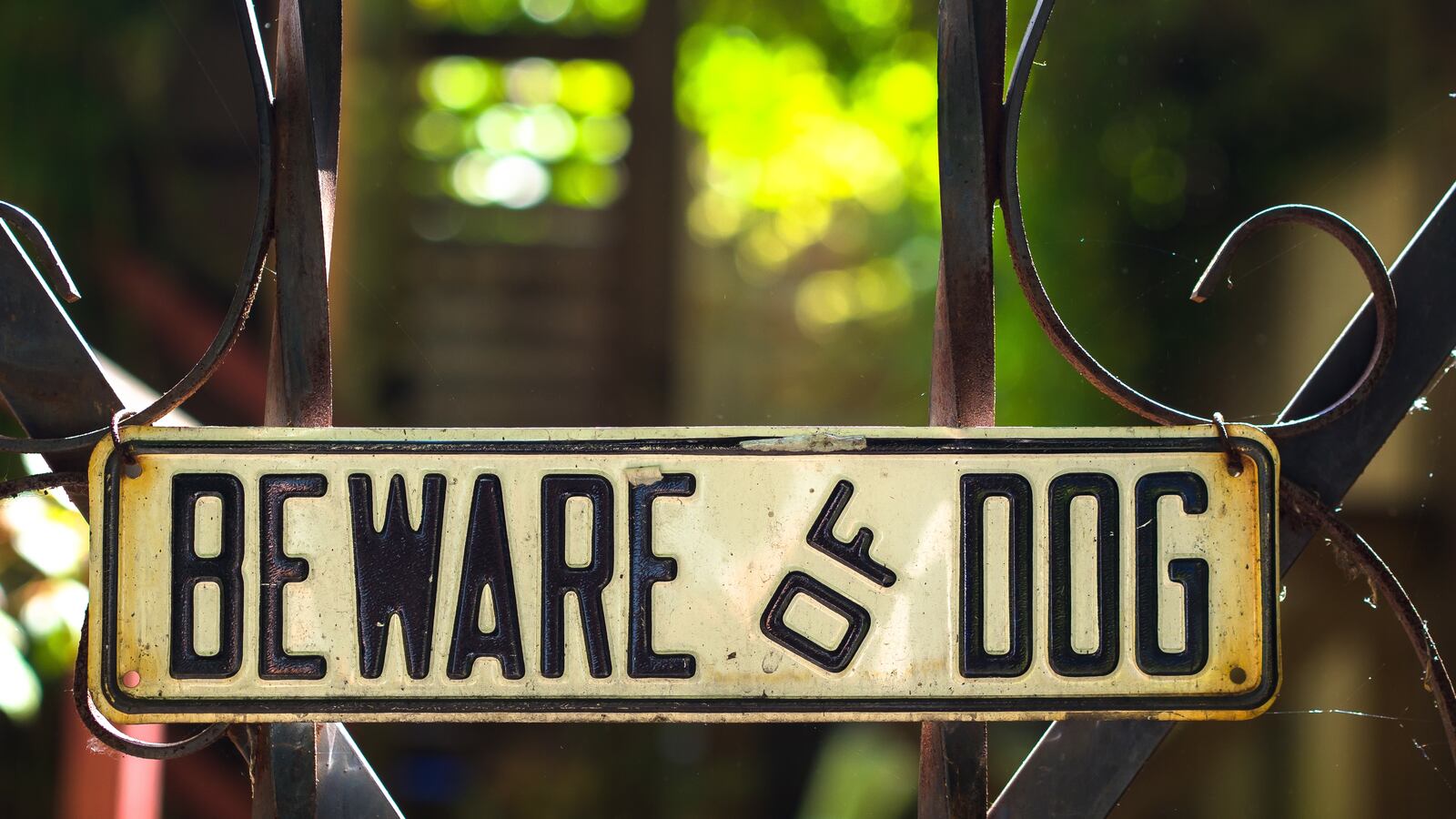 BEWARE_of_DOG__7554396890_an3nst