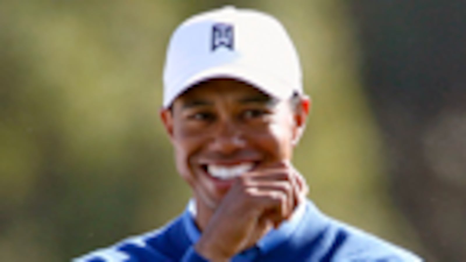 cheats/2009/12/10/one-degree-of-tiger-woods/tiger-woods---tiger-inc---br_gj736s