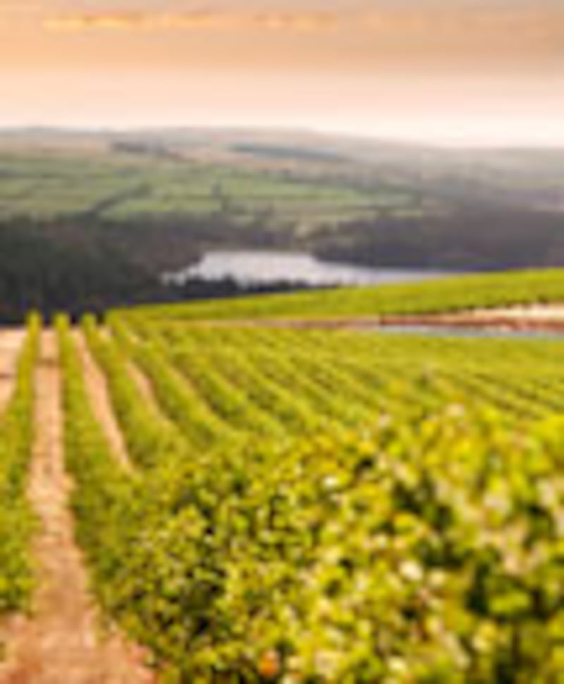 articles/2009/10/27/fresh-picks-18/fresh-picks---silverstone-restaurant_hwsixv