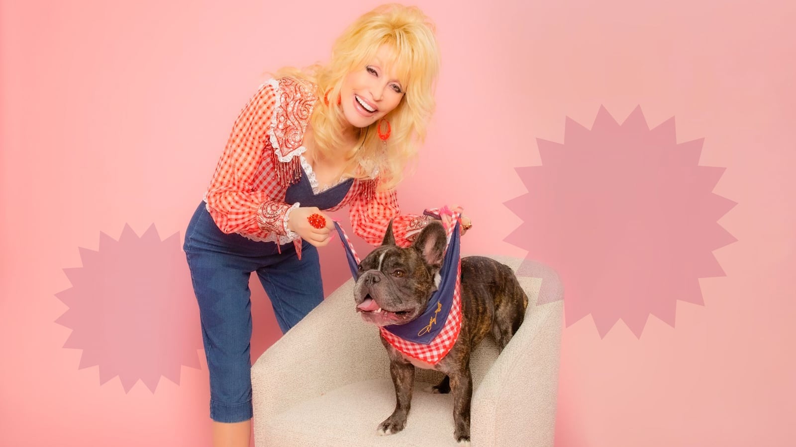 Doggy Parton Dolly Parton Pet Collection