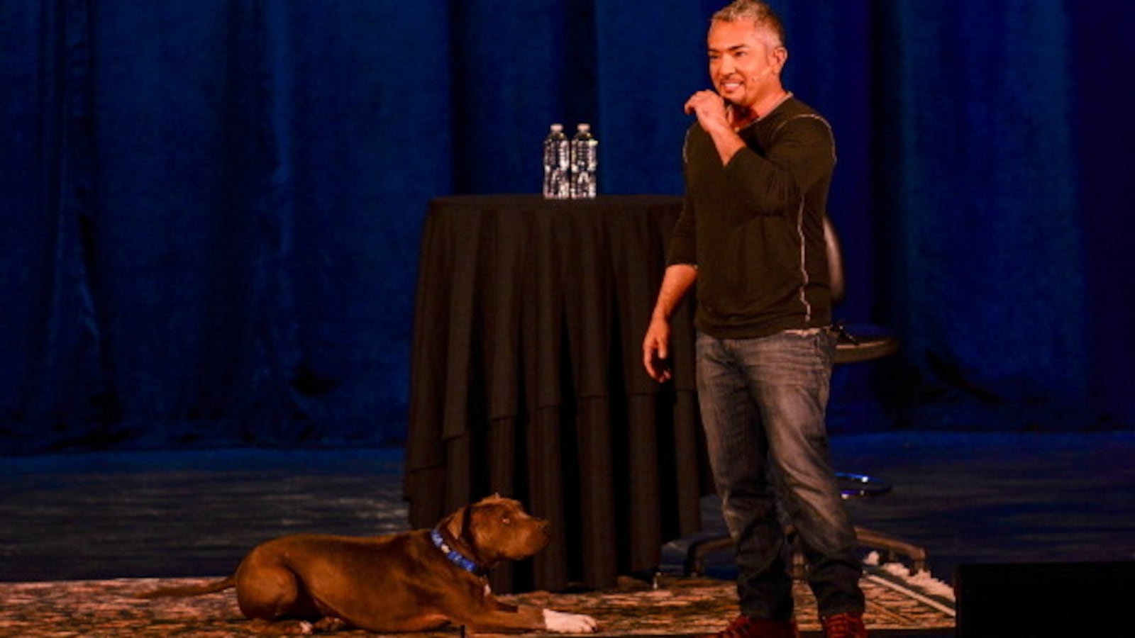 dog_whisperer_gwrfm1