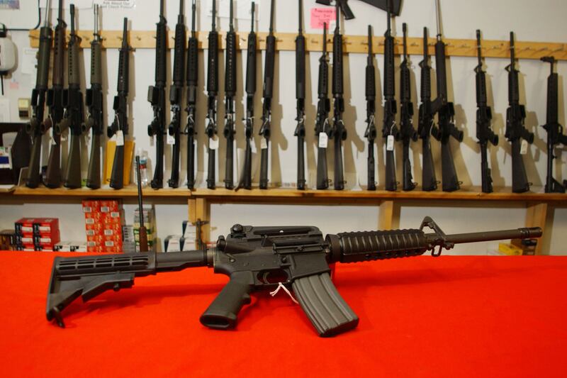 articles/2012/07/22/judith-miller-my-gun-control-fantasy/assault-weapons-miller-teaser_obwsfc