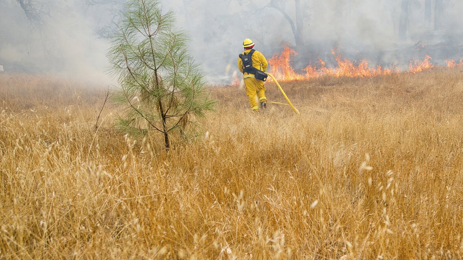 cheats/2015/09/21/ca-wildfires-destroy-1500-homes/150921-cali-fire-cheat_nsvgvb