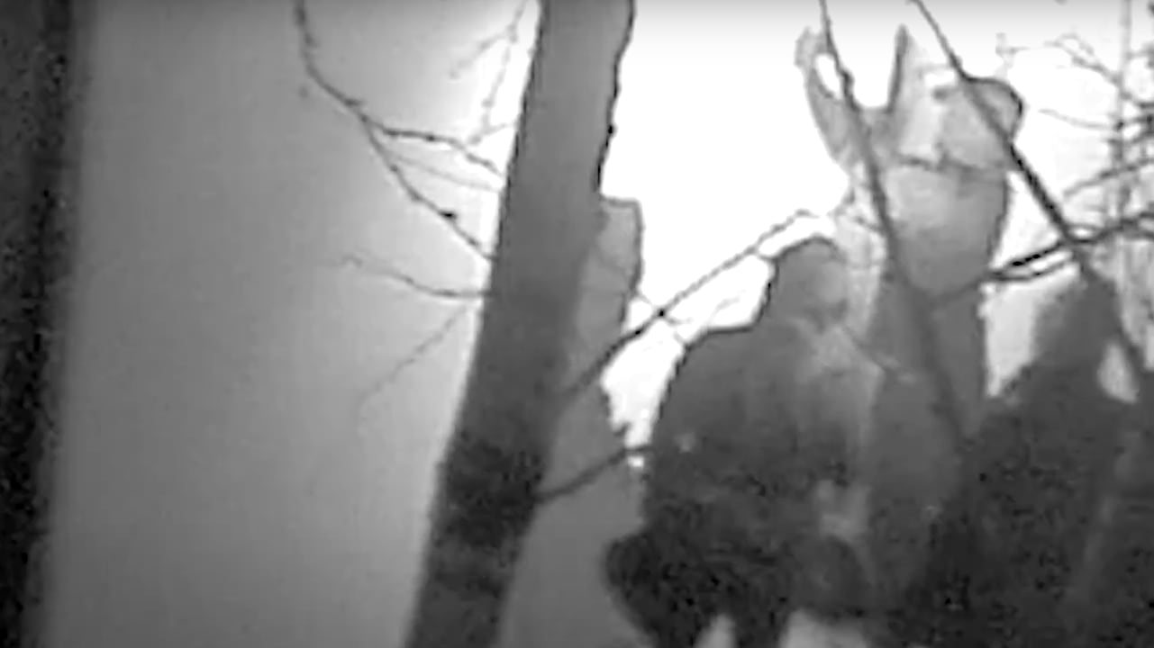 Thieves used explosives to steal ancient artifacts from a museum in the Netherlands, police say.