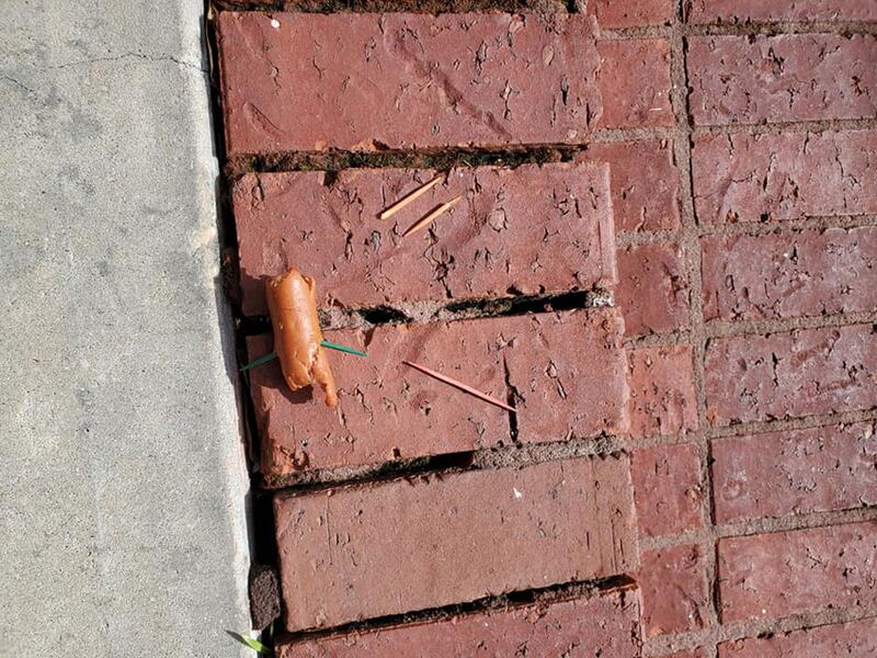 200818-daly-hotdog-toothpicks-embed-2_jlptpc