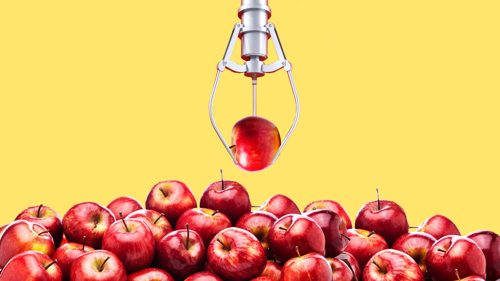 illustration of a robotic arm holding a red apple above a bin of red apples new zealand