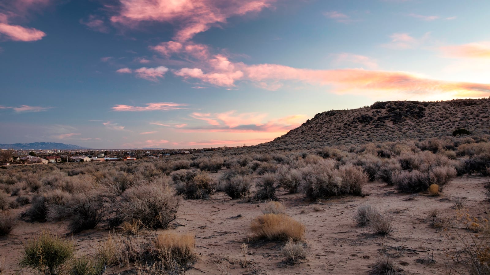 GettyImages-1310516358_1_rpzpdp