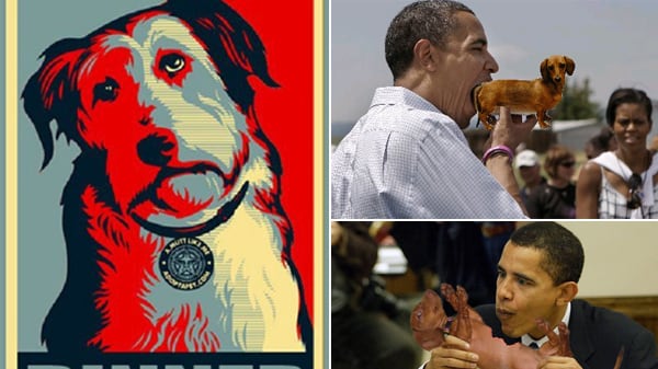 galleries/2012/04/21/meme-of-the-week-obama-eats-dog-photos/obamadog-tease_wxlqcu