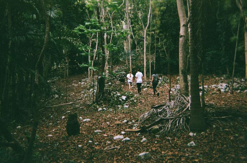 1912233-jamaica-embed1_prah3z