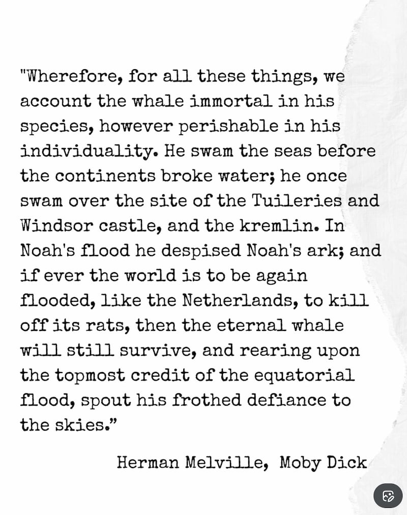 Schlossberg also included an excerpt from Herman Melville's Moby Dick.