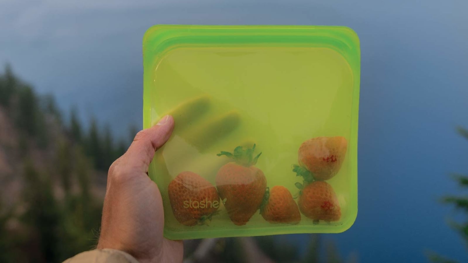 61gT8663jfL._SL1441__zyupes