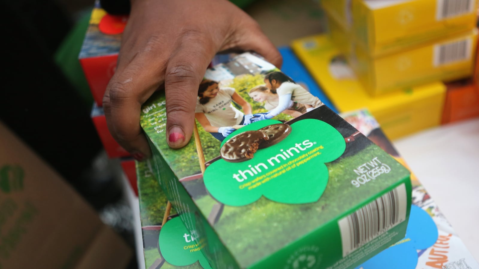 Girl Scouts sell cookies as a winter storm moves in on February 8, 2013 in New York City.