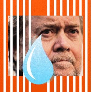 Steve Bannon crying comically behind bars. 