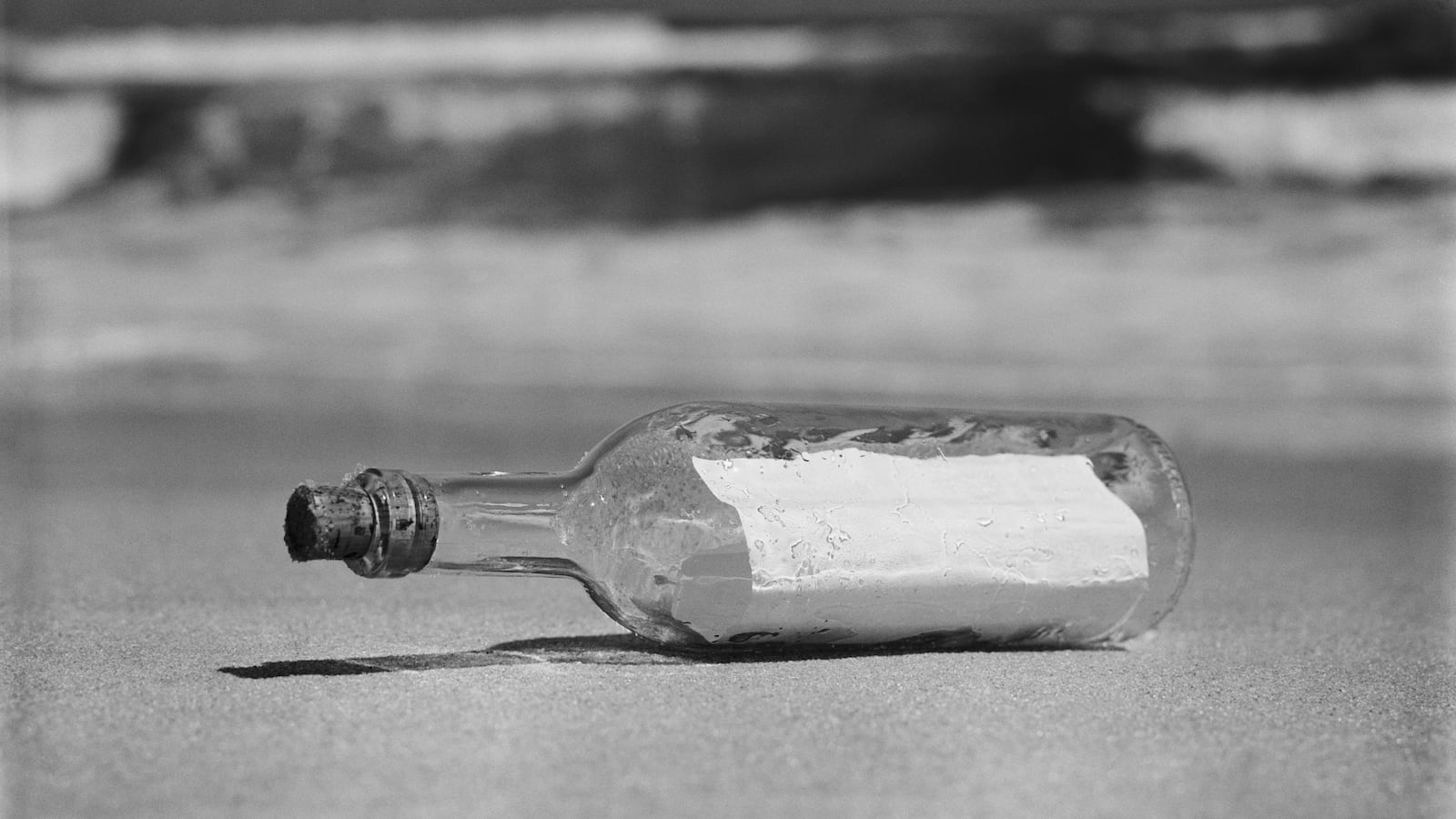 A love letter in a bottle from 1959 washed up on a shore in Poland.