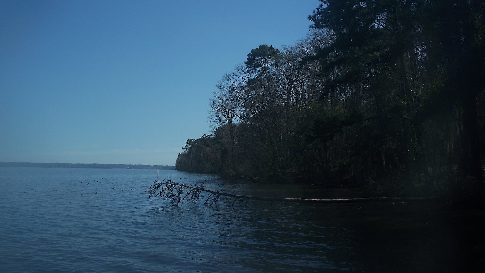 Sneads_FL_Three_Rivers_SP_Lake_Seminole01_bflbzp