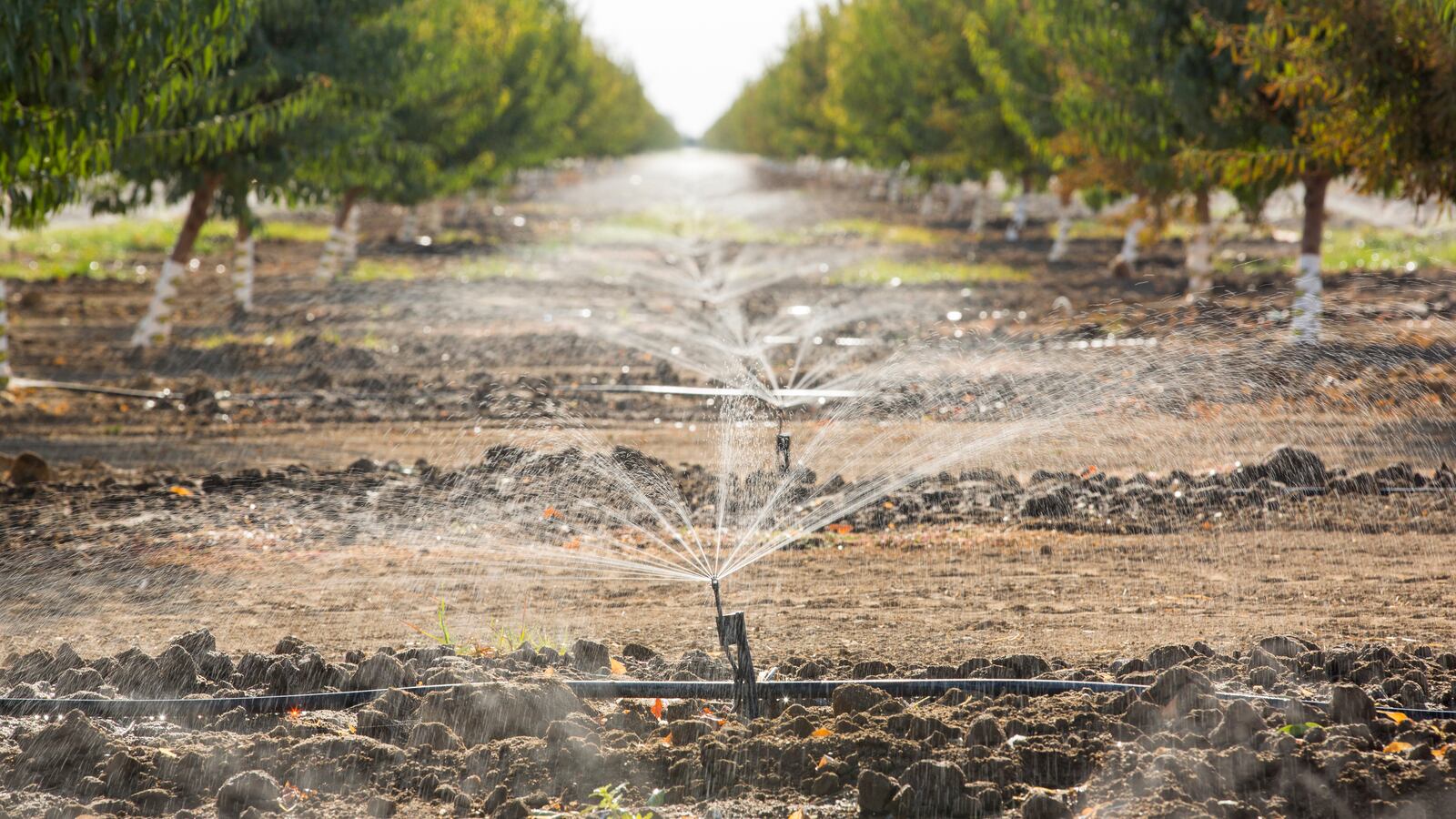 GettyImages-584513686_qtaj12