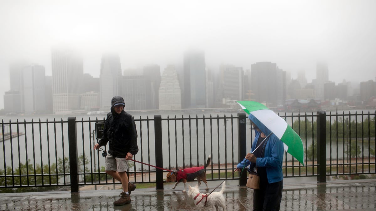 articles/2011/08/28/hurricane-irene-s-new-york-city-letdown/hurricane-irene-new-york-city-bernstein_klwmaw