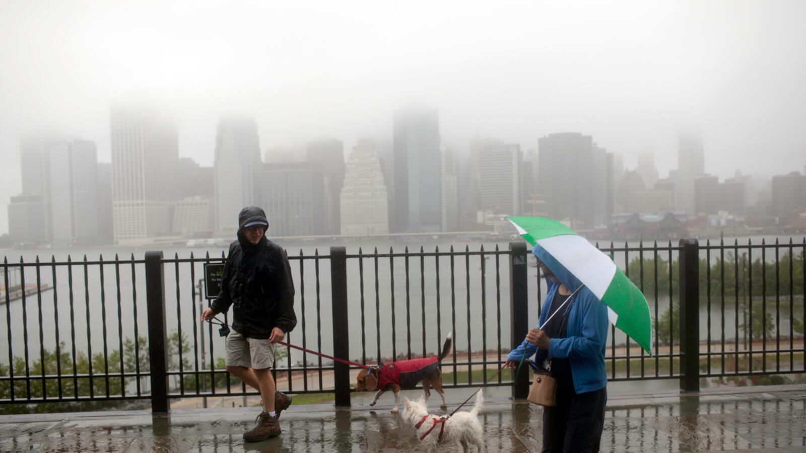 articles/2011/08/28/hurricane-irene-s-new-york-city-letdown/hurricane-irene-new-york-city-bernstein_klwmaw