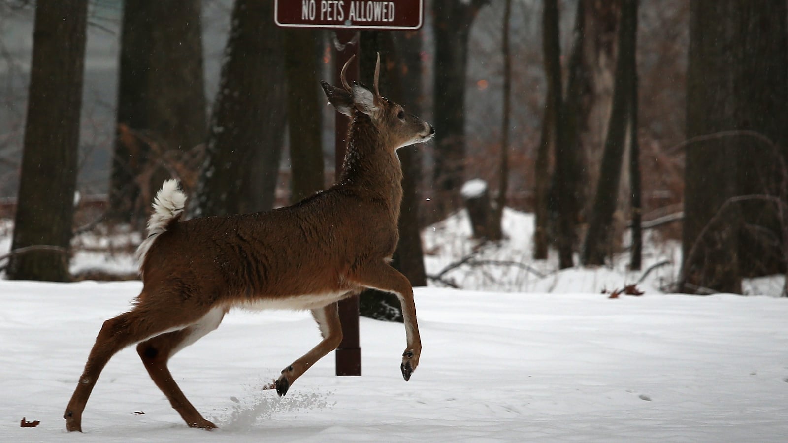 GettyImages-457429805_vrfckq