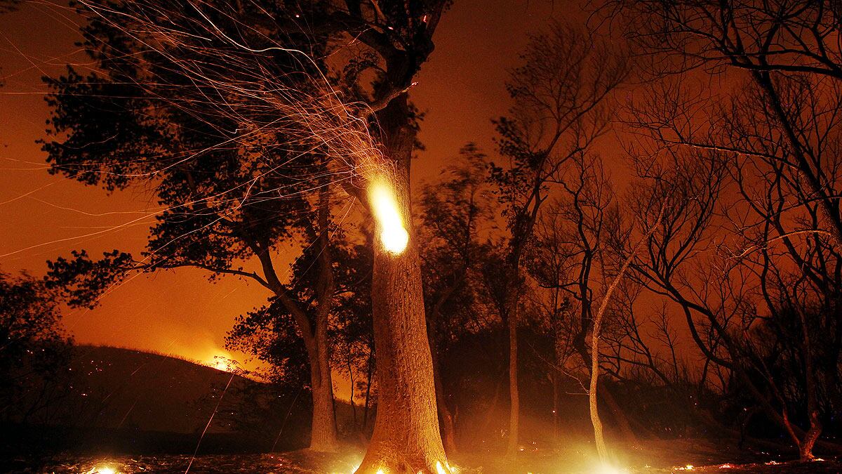 cheats/2013/06/02/wildfire-ravages-california-national-forest/california-fires-cheat_icpngw