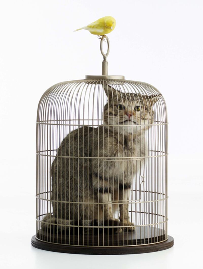 galleries/2012/07/20/new-exhibition-art-in-the-age-of-truthiness-at-site-santa-fe-photos/gal-gopnik-real-mattes_mrmmzl