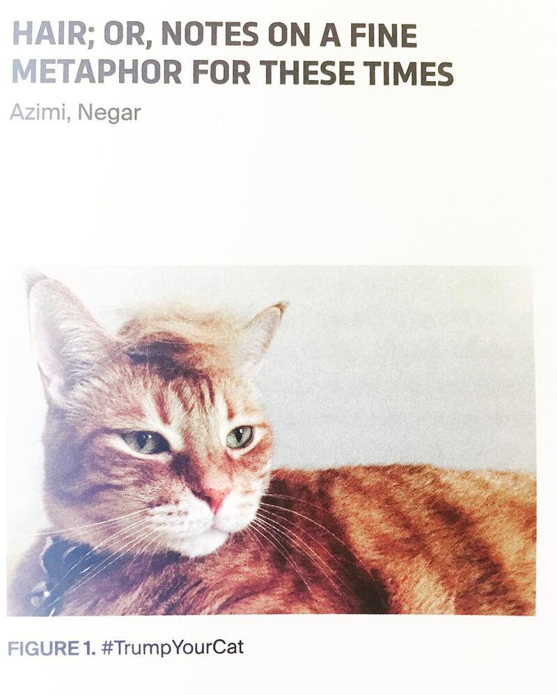 articles/2017/04/25/the-daily-beast-featured-in-whitney-biennial-book/170425-trumpyourcat-embed1_vlat9s