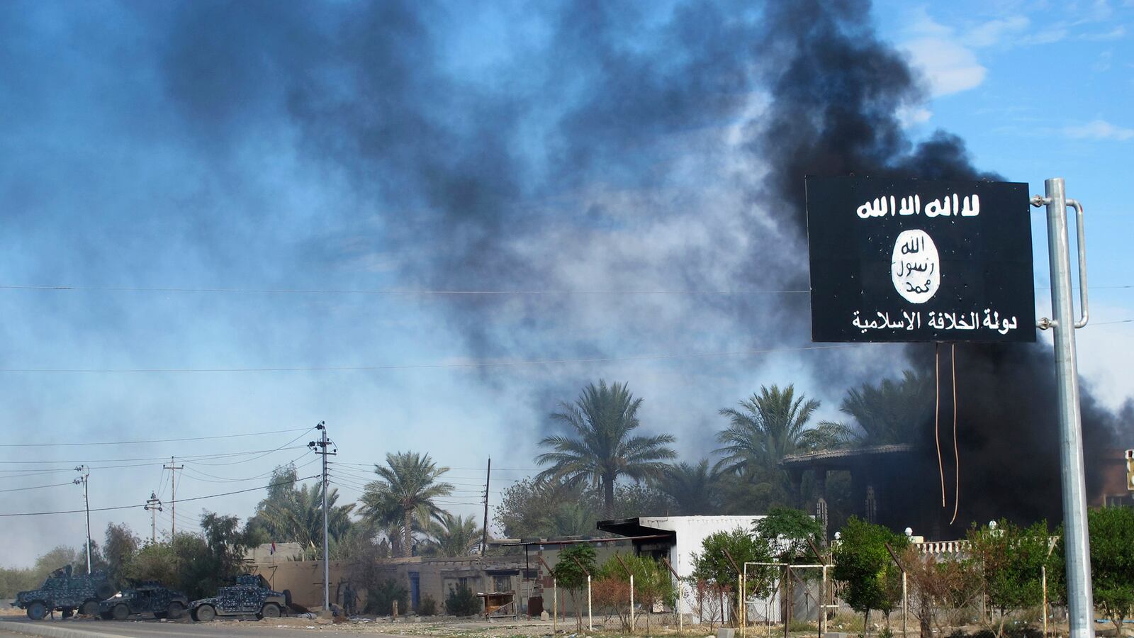 cheats/2015/06/03/u-s-more-than-10k-isis-fighters-killed/150603-isis-deaths-cheat_am5ith