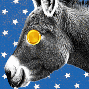 Smiling donkey with a gold coin spinning on a blue and white star background