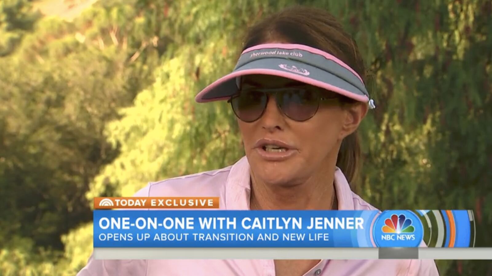cheats/2015/09/09/caitlyn-jenner-costumes-are-great/150909-jenner-cheat_tkysfj