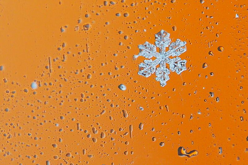 galleries/2014/01/11/week-in-photos-january-11-2014/140109-snowflake-wip_evmdoh