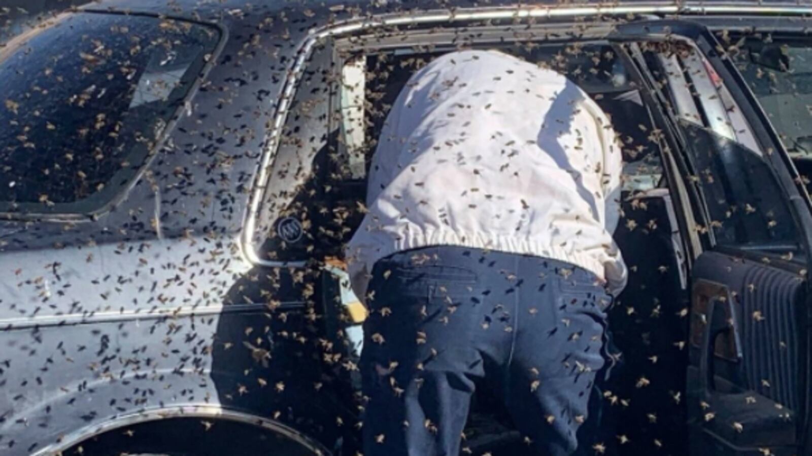 Screen_Shot_2021-04-01_at_9.30.37_AM_mbkyhf