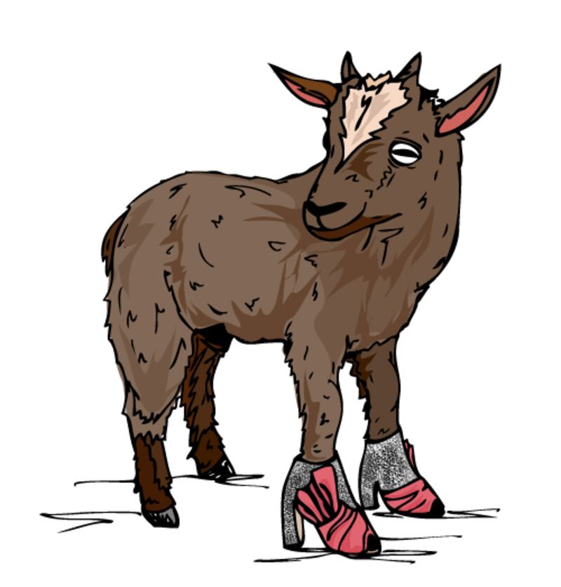 galleries/2013/01/10/wear-this-to-that-an-amazing-new-tumblr/pygmy-goat-wear-this-to-that_exkwov