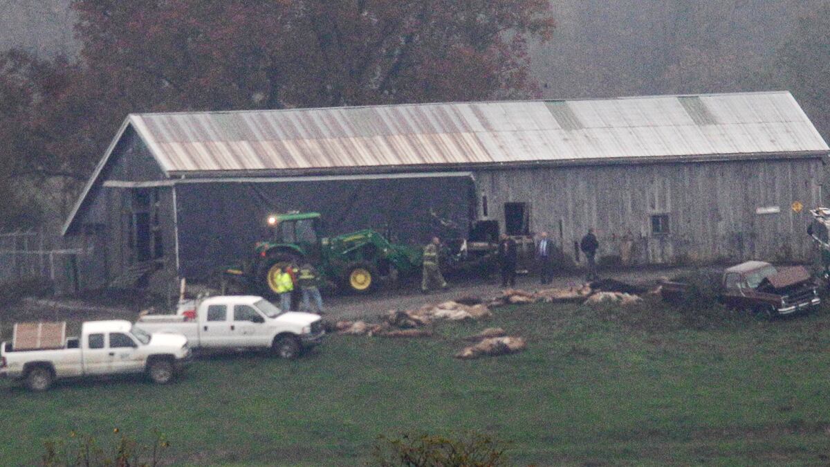 cheats/2012/04/30/ohio-zoo-animals-to-go-to-widow/ohio-exotic-animals-cheat_b5umbl