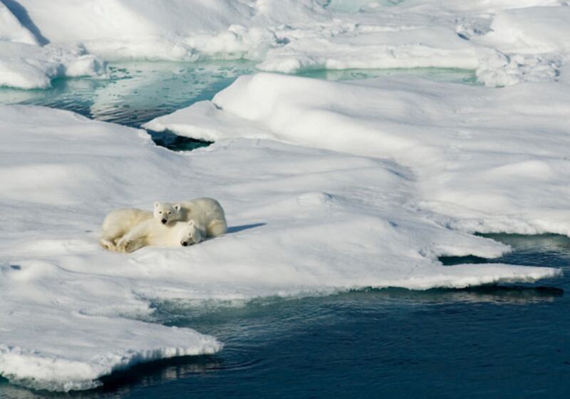 galleries/2010/02/15/the-laziest-countries-in-the-world/slothiest-countries---norway_hu3udg