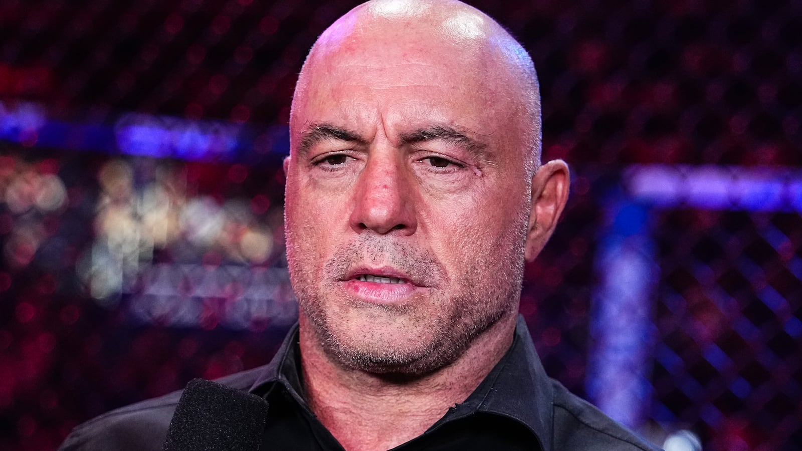 NEW YORK, NEW YORK - NOVEMBER 16: Announcer Joe Rogan looks on during the UFC 309 event at Madison Square Garden on November 16, 2024 in New York City. (Photo by Jeff Bottari/Zuffa LLC)