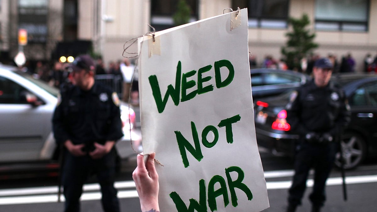articles/2012/07/22/in-marijuana-legalization-hard-truths-for-all-sides-of-the-debate/marijuana-book-singal_ycuja2