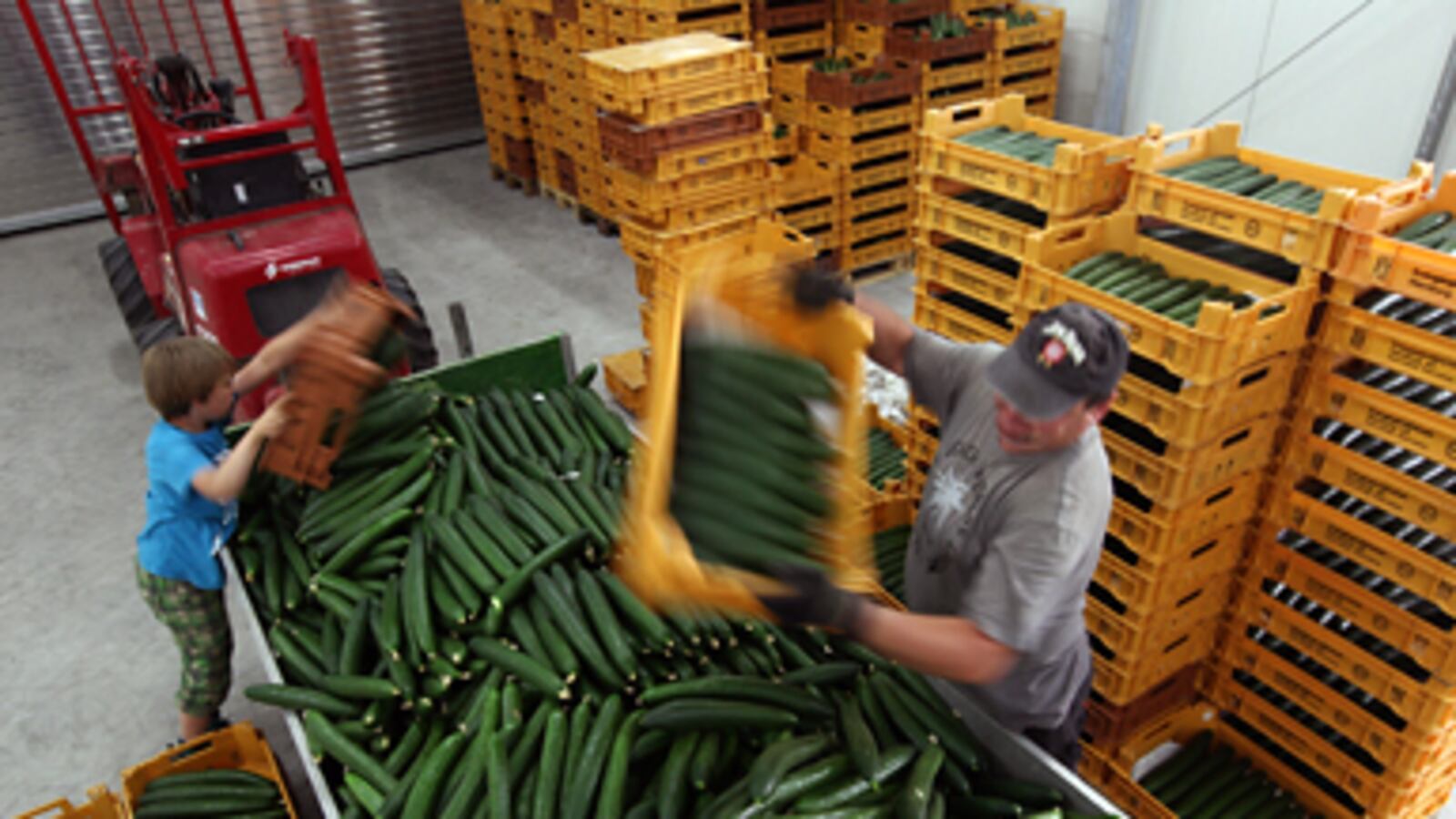 cheats/2011/06/04/e-coli-now-deadliest-in-history/deadly-e-coli-outbreak_185745_tcwgy7