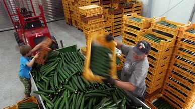 cheats/2011/06/04/e-coli-now-deadliest-in-history/deadly-e-coli-outbreak_185745_tcwgy7